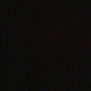 Meet your Posher, Oscar