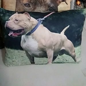 Pit bull pillows 10×16