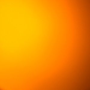 Meet your Posher, Sofia