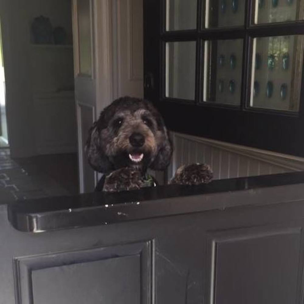 Meet your Posher, Lynnea