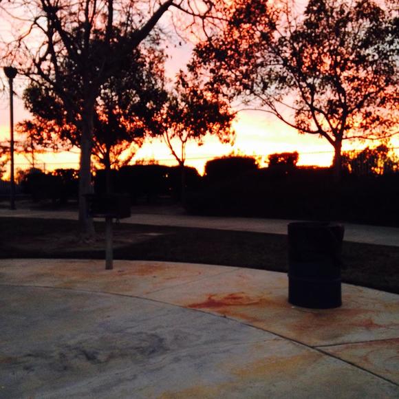 Meet your Posher, Andrew - Picture 1 of 1