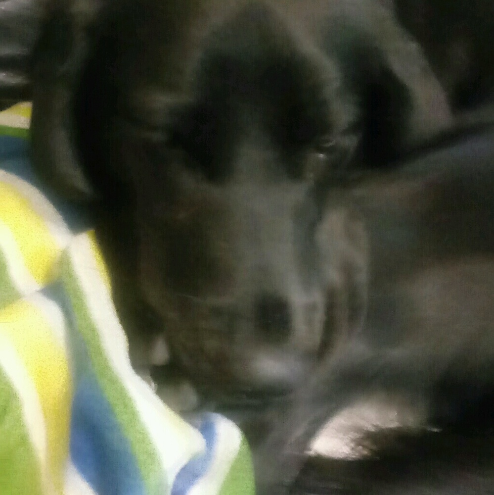 Meet your Posher, Debbie