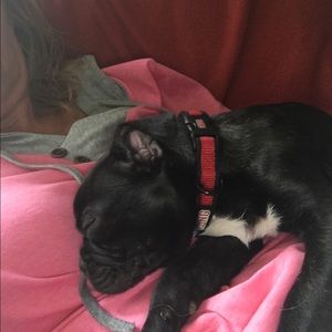 Meet your Posher, Vicki