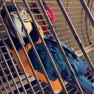 Meet your Posher, Sophia a.