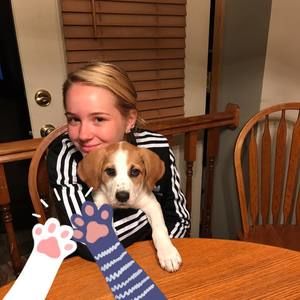 Meet your Posher, Angel