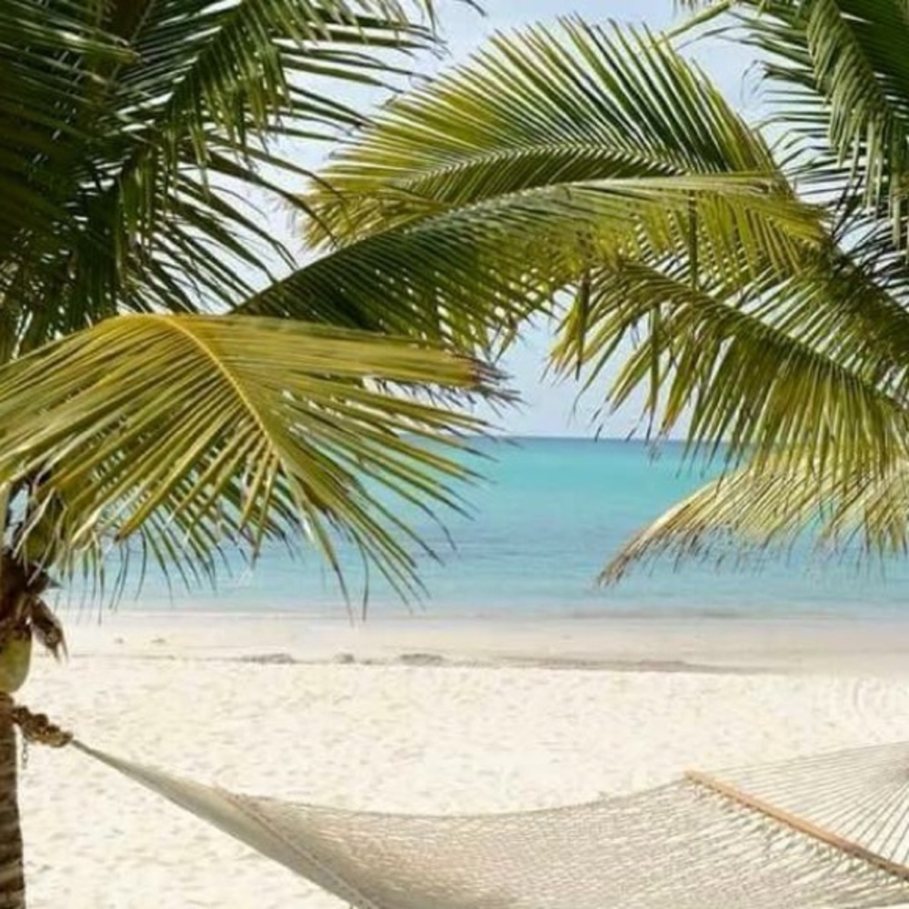 Meet your Posher, Terri