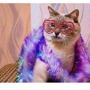 Meet your Posher, Ari