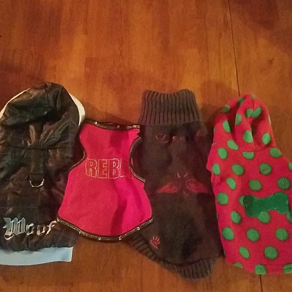 Accessories - Dog Clothing Bundle