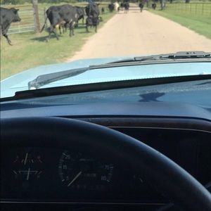 Meet your Posher, Ethan