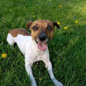 Meet your Posher, Amber