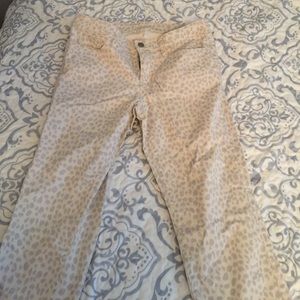 Modern skinny pants from loft