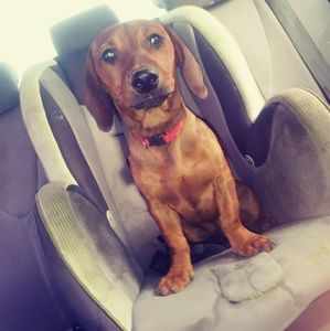 Meet your Posher, Manuel