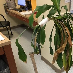 Meet your Posher, Freddy