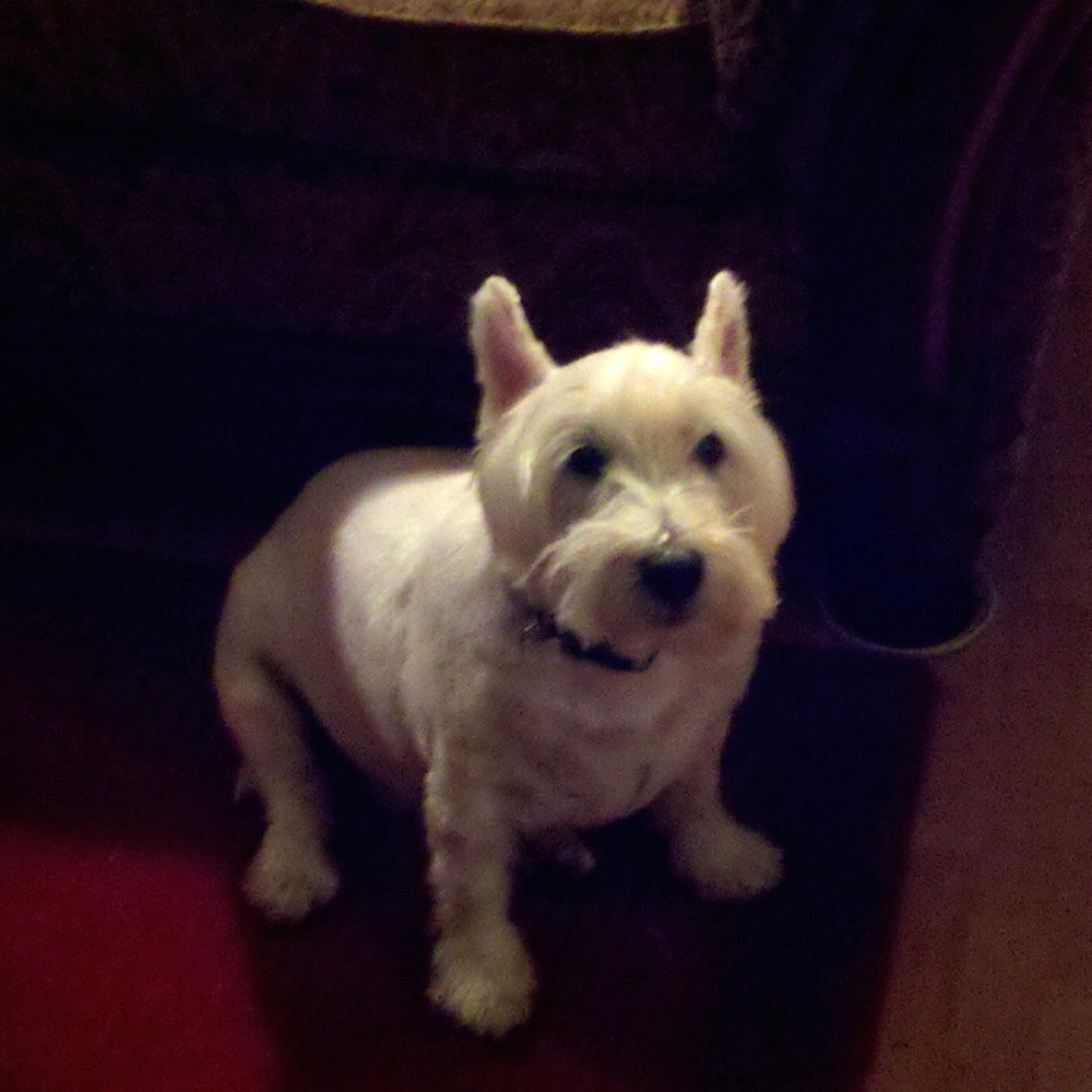 Meet your Posher, Theresa