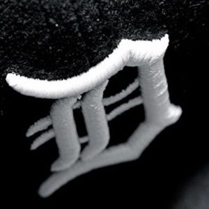 Meet your Posher, Bryan