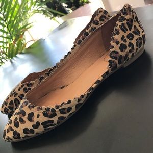 Jack Rogers Chantel Pointed Toe Flats