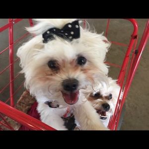 Meet your Posher, Amy