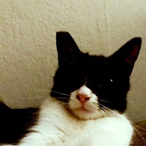 Meet your Posher, Ben