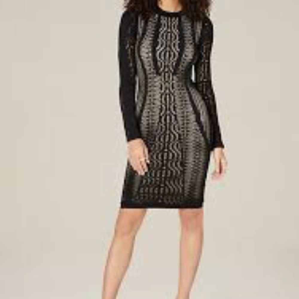 Bebe Kimmie Mesh Bodycon dress