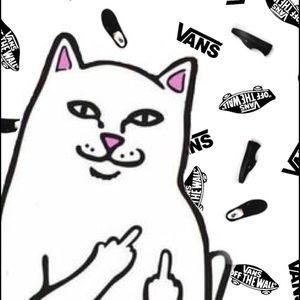 Meet your Posher, Ted