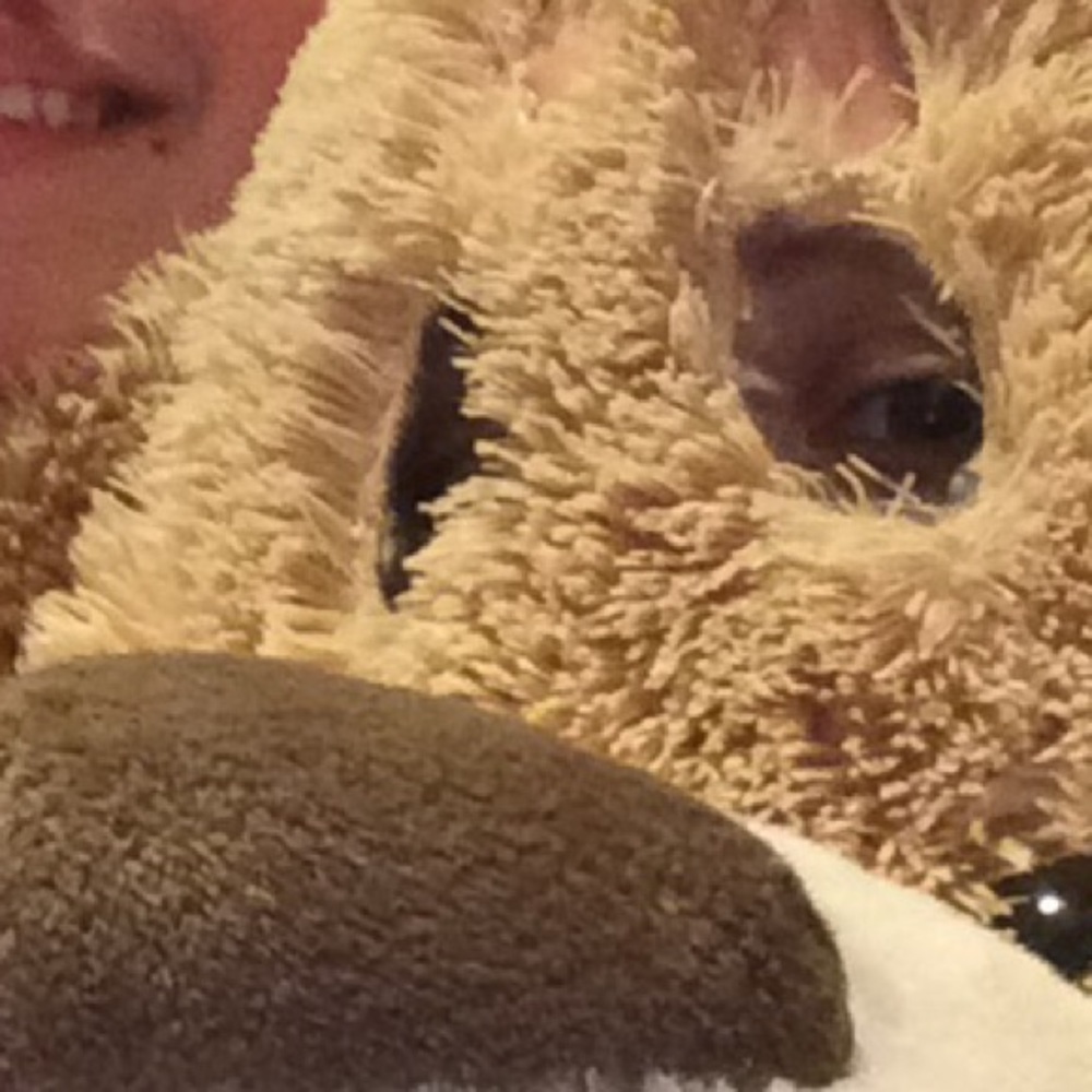 Meet your Posher, Maddie