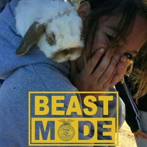 Meet your Posher, Pilar