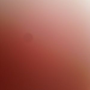 Meet your Posher, Brendan