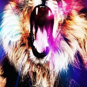 Meet your Posher, Devin