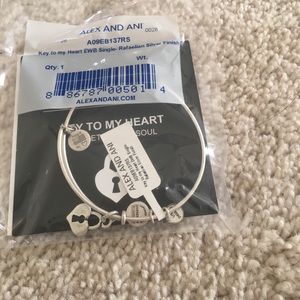 Alex and Ani Bracelet