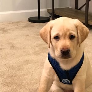 Meet your Posher, Katherine