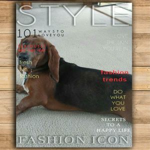 Meet your Posher, Angela