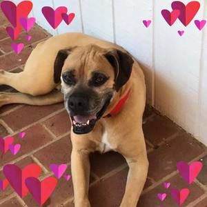 Meet your Posher, Ann