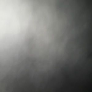 Meet your Posher, Terrynaia