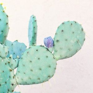 Meet your Posher, Mariam