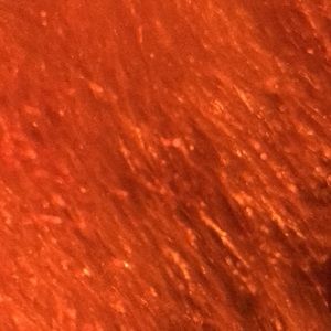 Meet your Posher, Noah