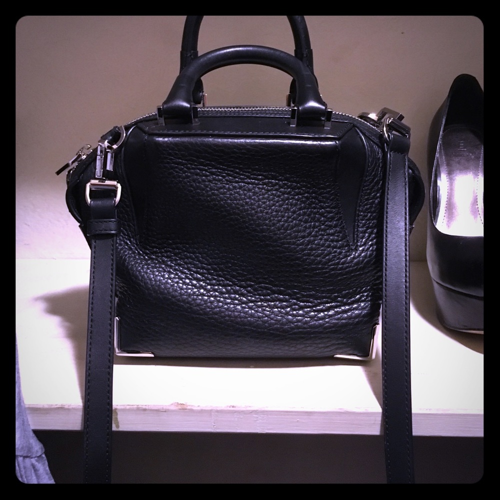 Alexander wang mini emile