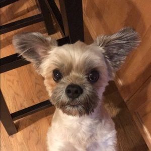 Meet your Posher, Andrea