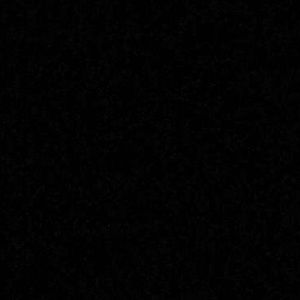 Meet your Posher, Taryn