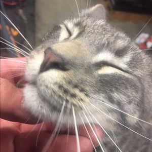 Meet your Posher, Gabriel