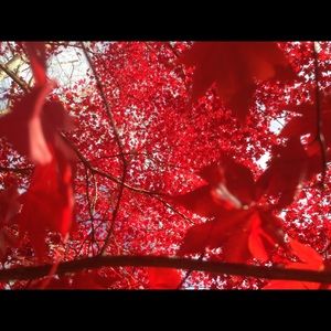 Meet your Posher, Aneta