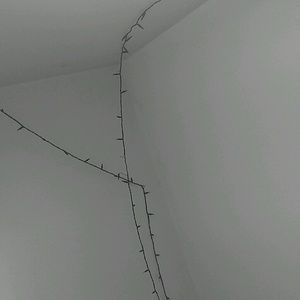 Meet your Posher, Owen