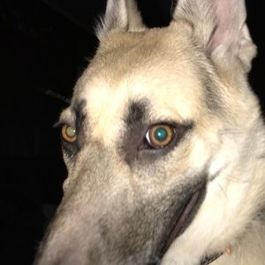 Meet your Posher, Deavon