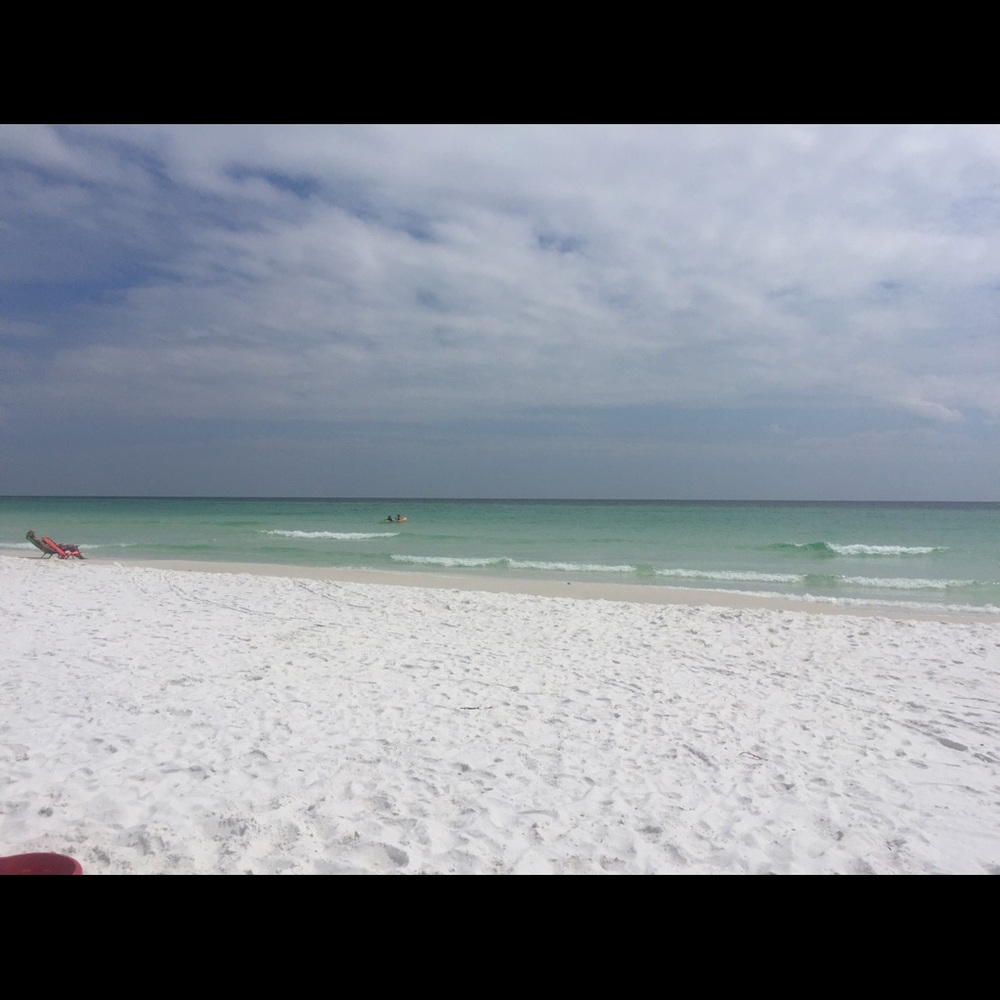 Meet your Posher, Dawn