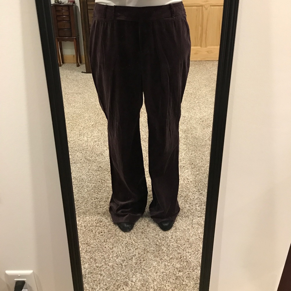 Loft velour pants