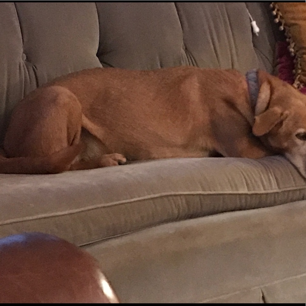 Meet your Posher, Jess