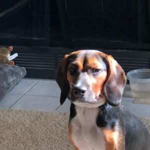 Meet your Posher, Tori