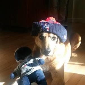 Meet your Posher, Jamie