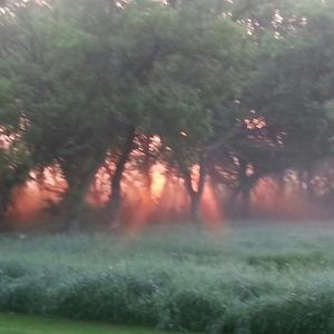 Meet your Posher, Laurie