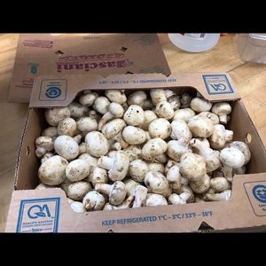 Meet your Posher, Patty