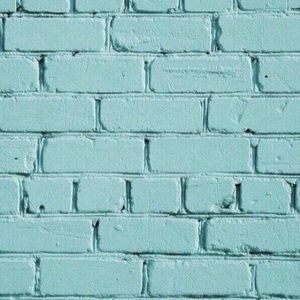 Meet your Posher, Lily